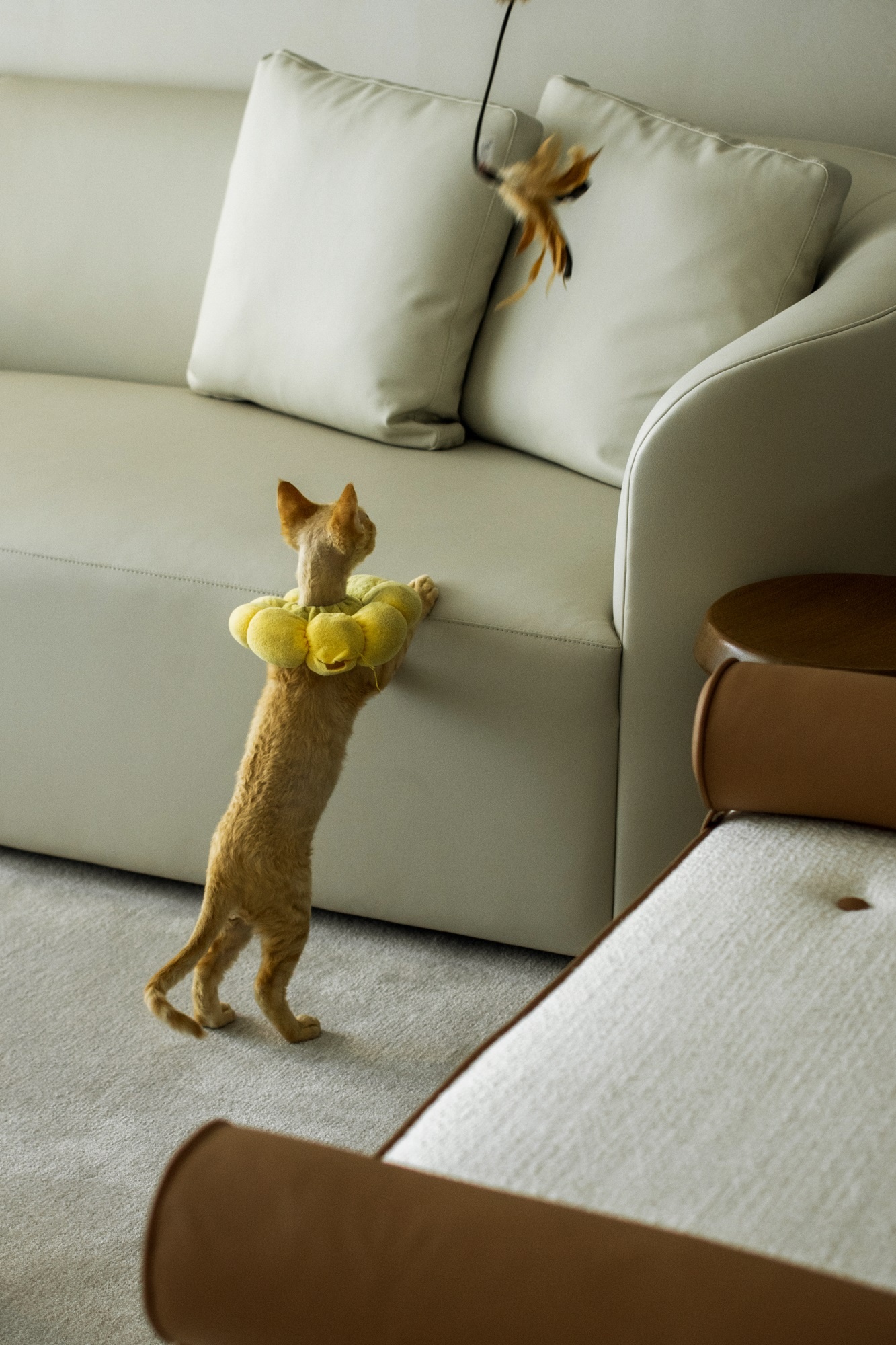 去繁存简,满载生活丨中国温州丨NinePick Design 杦拾设计-10