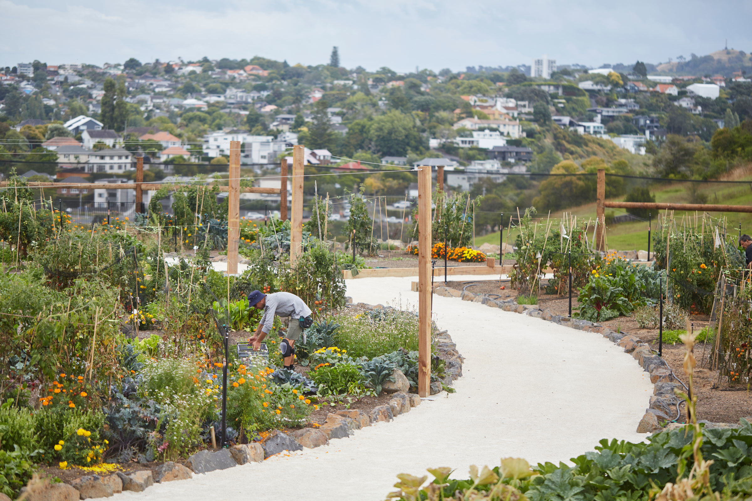 丨新西兰奥克兰丨Xanthe White,James Walkinshaw-5