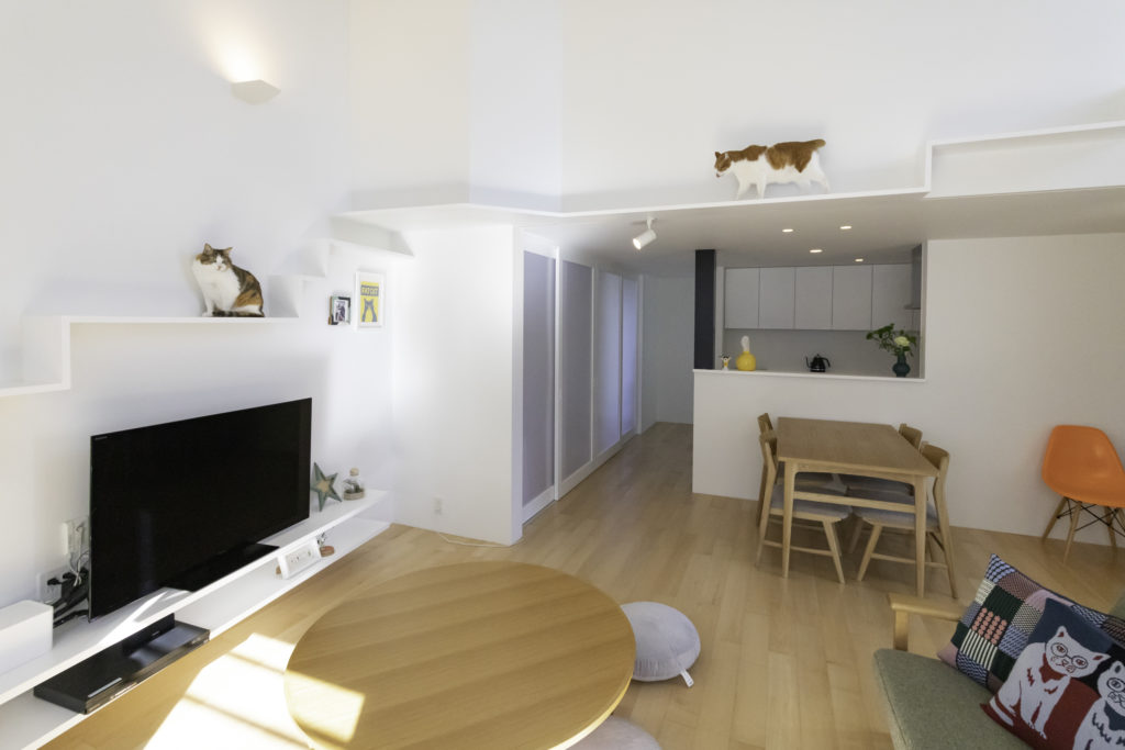 猫たちのお気に入りがいっぱい 適度な距離感で住まう大人4人と猫6匹の快適生活 | Architecture | 100%LiFE-0
