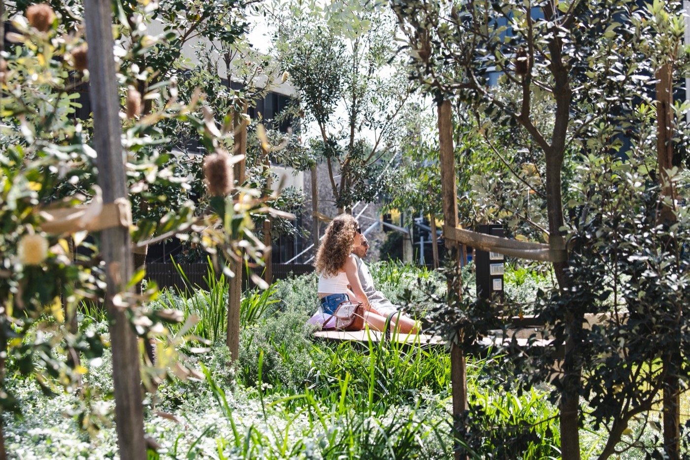 澳大利亚瓦当加里公园丨阿卡迪亚-10