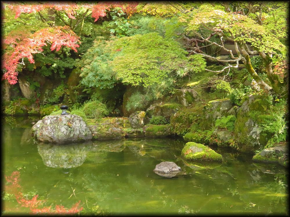 知恩院友禅苑,華麓庵,白寿庵,知恩院方丈庭園丨日本京都-33