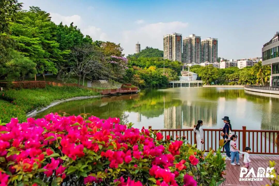 深圳园博园：用公园打开城市生活新方式-127