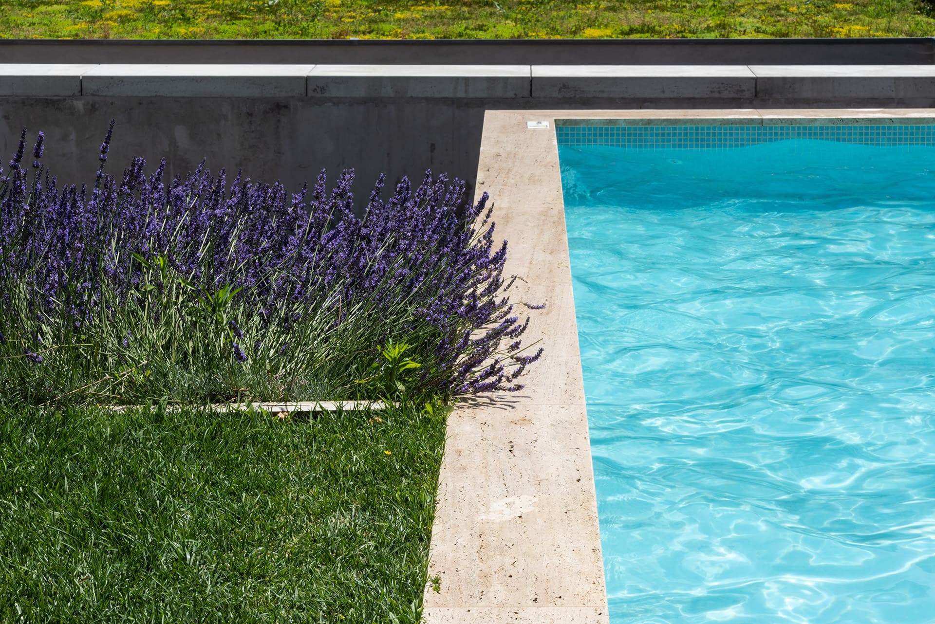 波尔图安塞尔莫公寓酒店丨葡萄牙波尔图丨Alexandra Azevedo-10