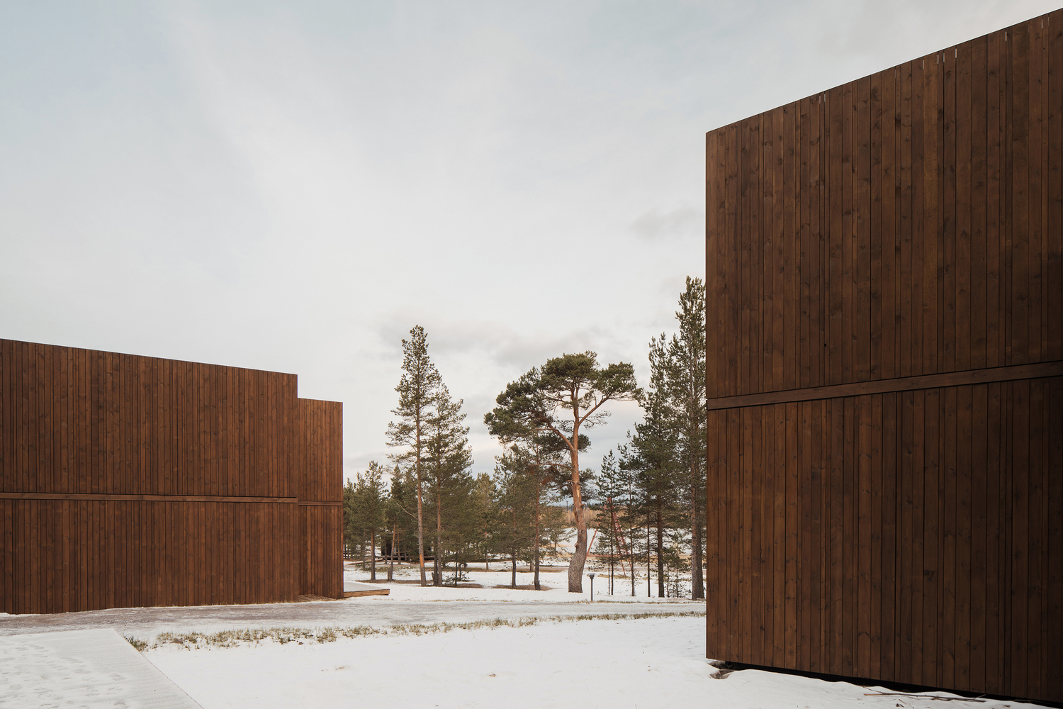 Tochka na Karte Hotel Rhizome-53