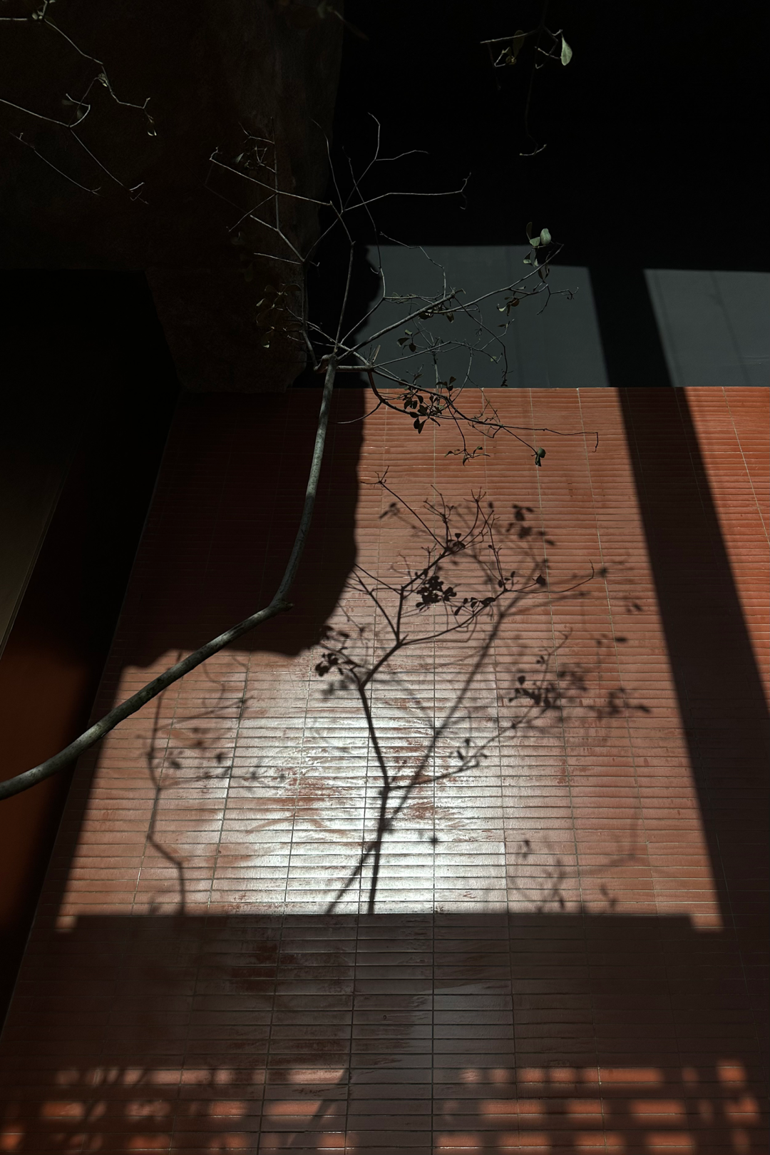 席作·福建会馆丨中国杭州丨WWD 厦门一横一竖设计工程有限公司-91