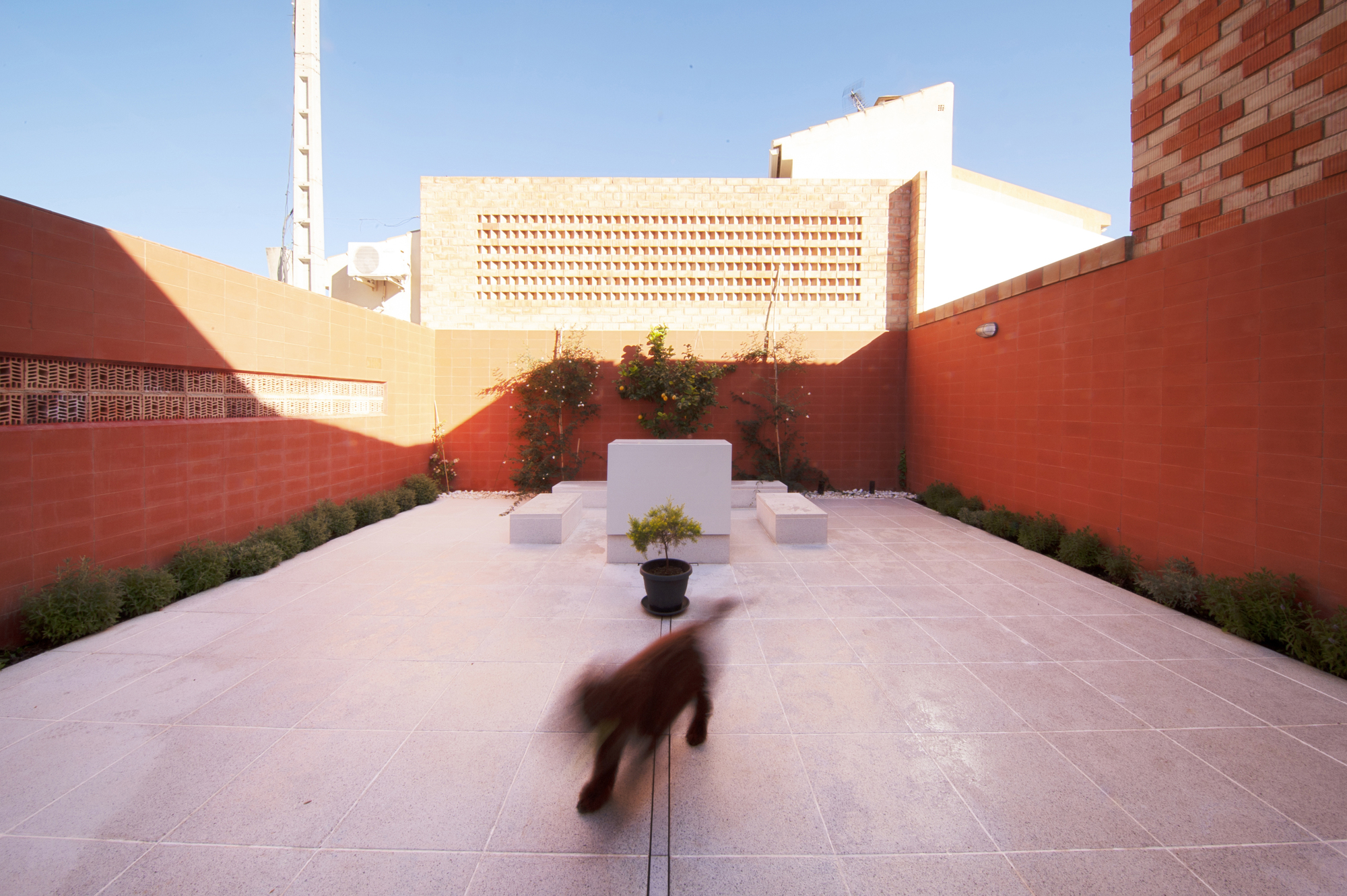 自由之家丨西班牙丨GRAO-21