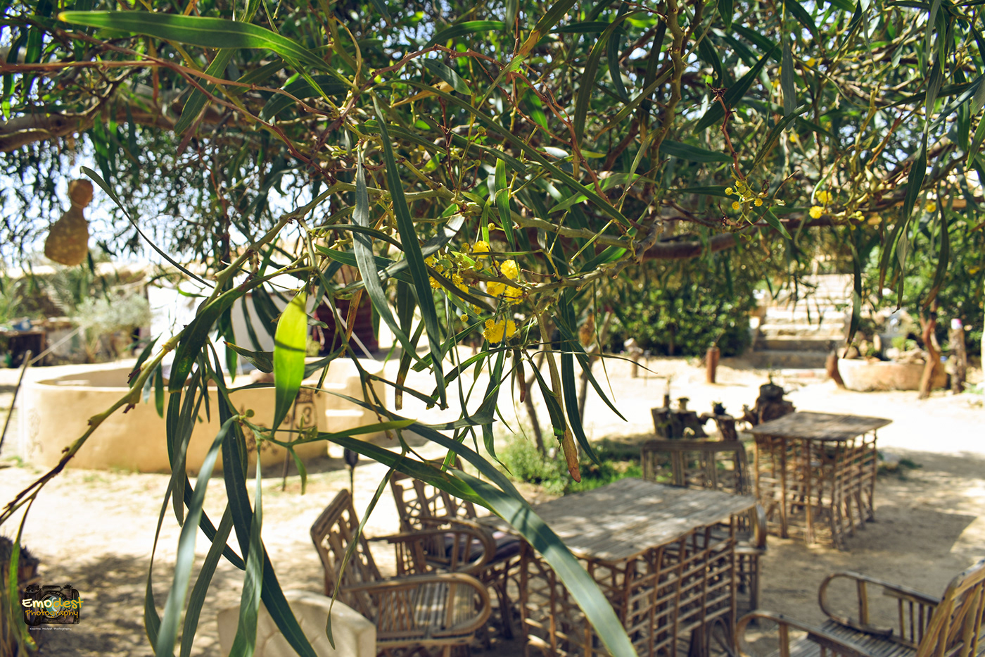 Camp Outdoor - Siwa Oasis-6