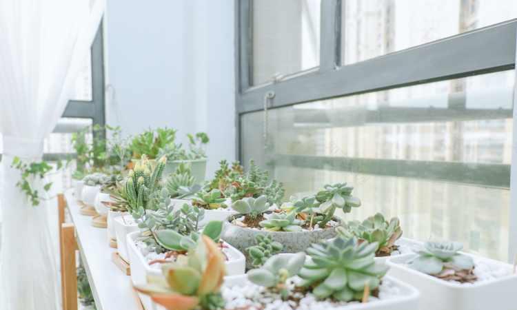 广州 184 平米三室一厅,简约原木风打造 INS 网红家-62