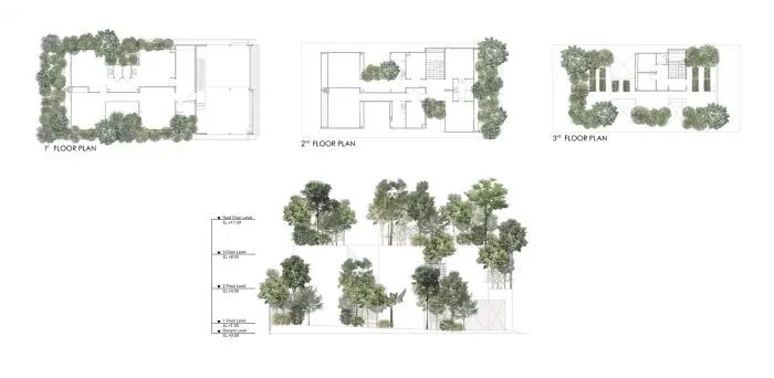 曼谷“森林之家” | 绿色住宅的可持续设计-14