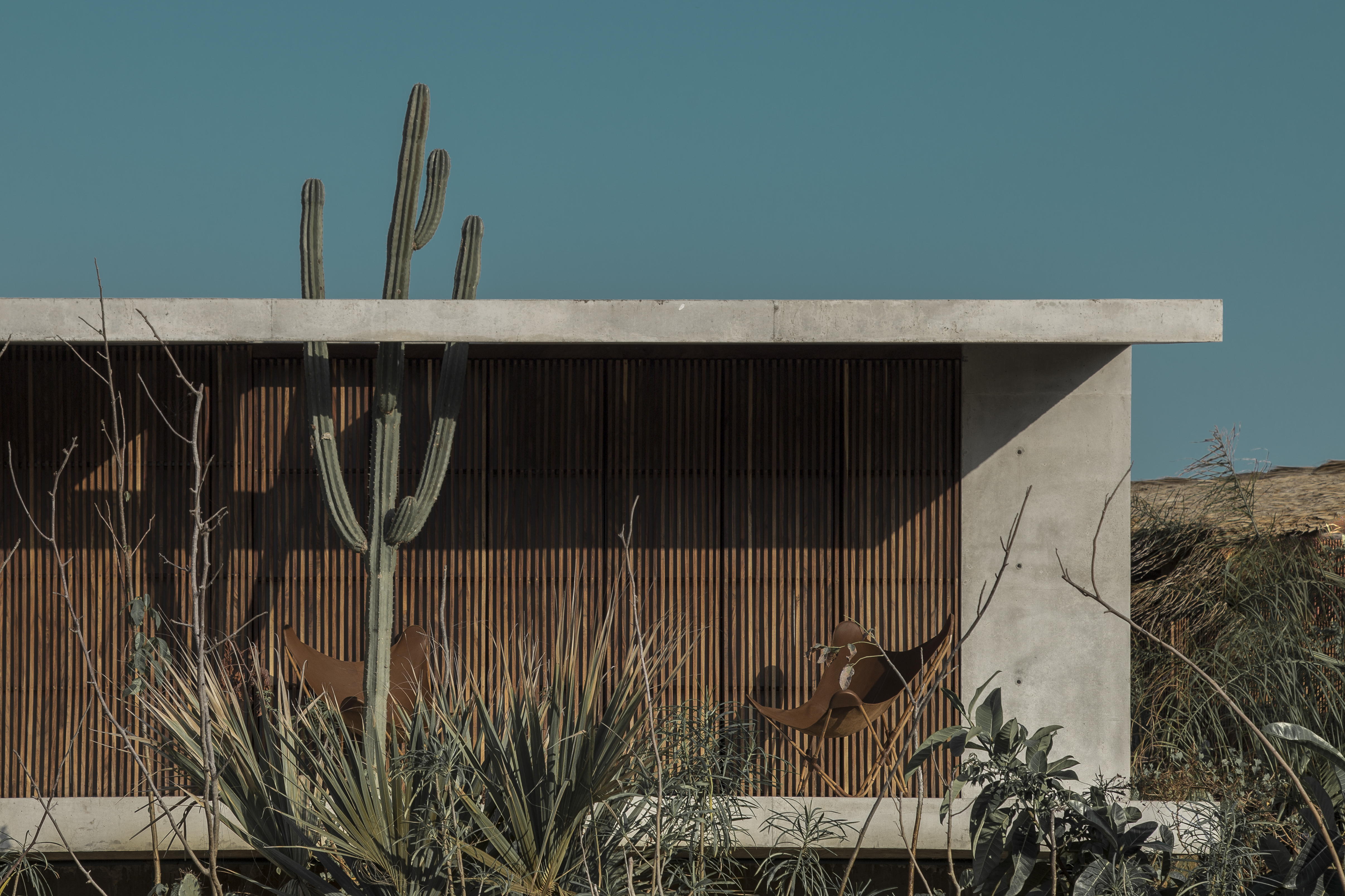 卡萨阿尔塔内拉丨TAC-9