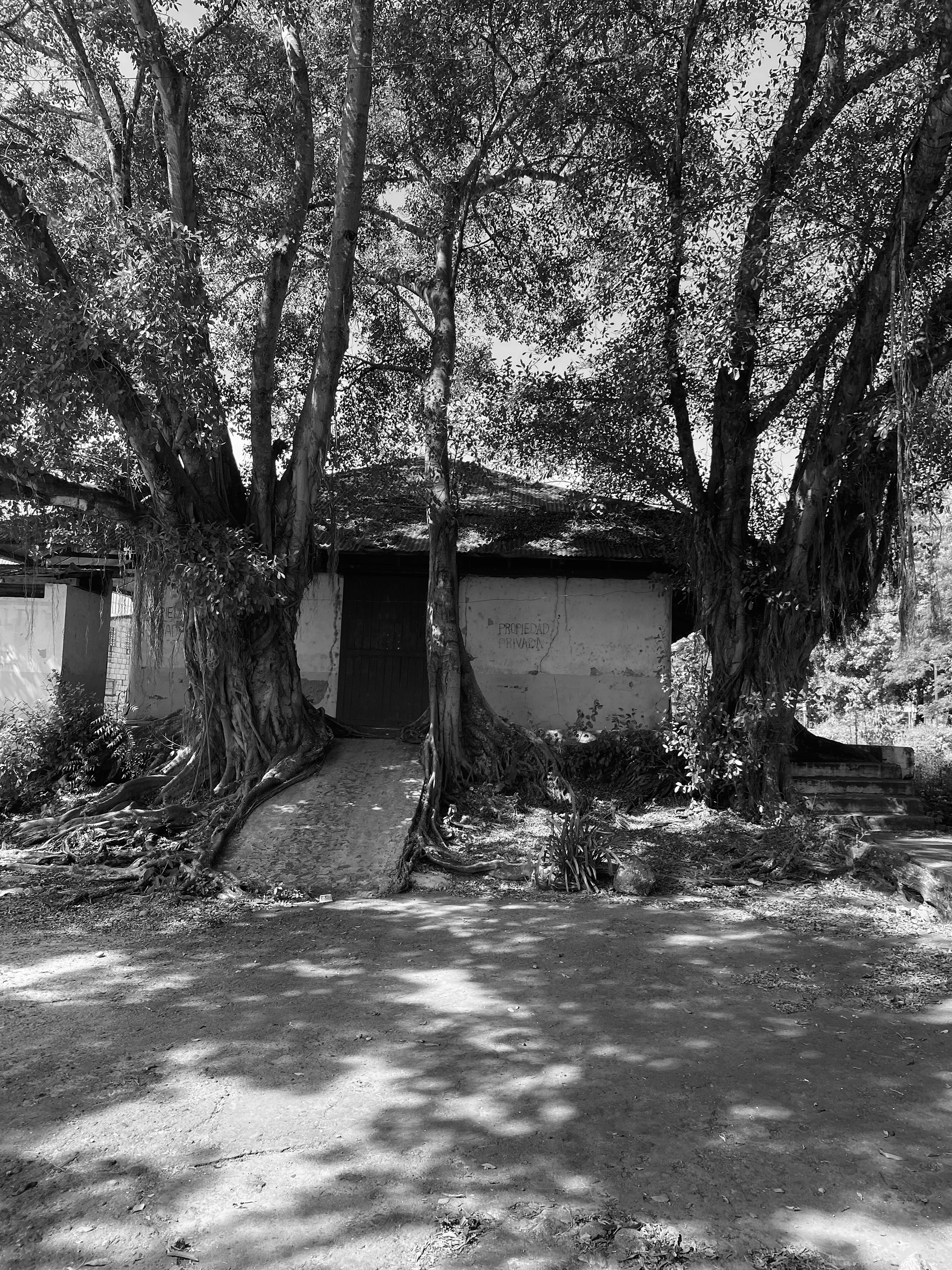 Sedimentos: Ecologías Performativas | Integrador Final-20