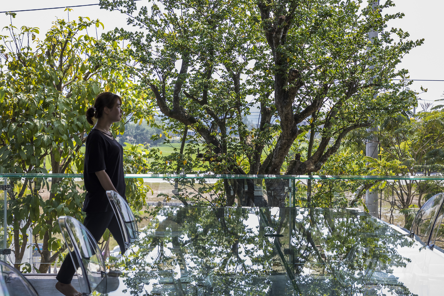 回归自然的 MW archstudio 办公空间-27