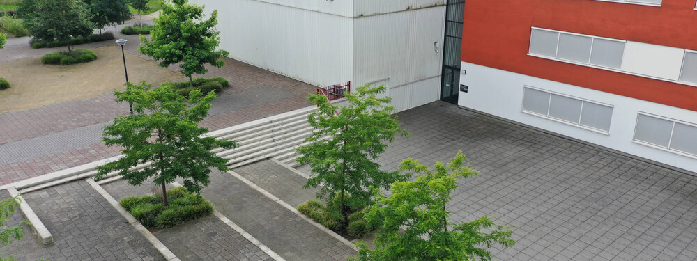 Uden's College - Grasveld Tuin- en Landschapsarchitecten-23