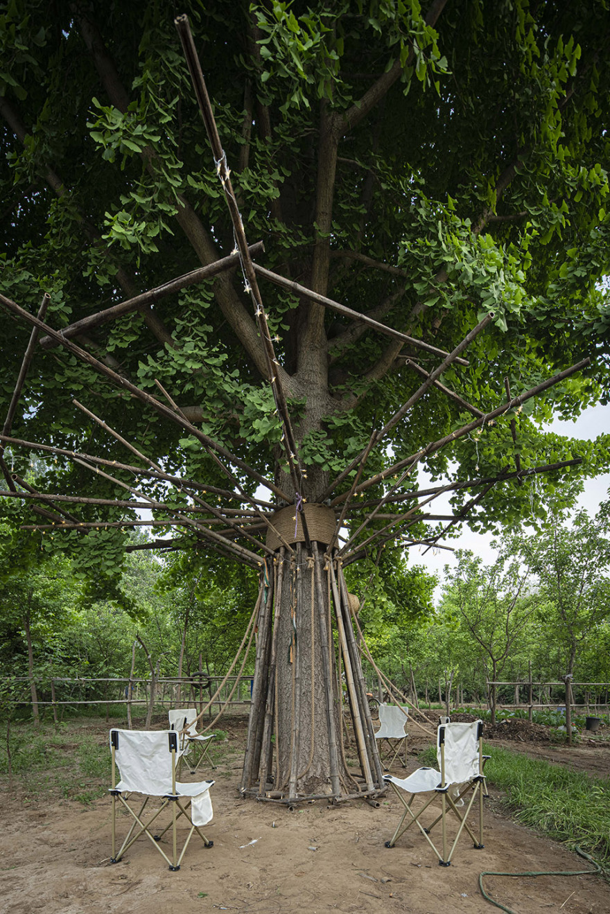 竹装置·Tree of Life丨中国北京丨UK Studio-2