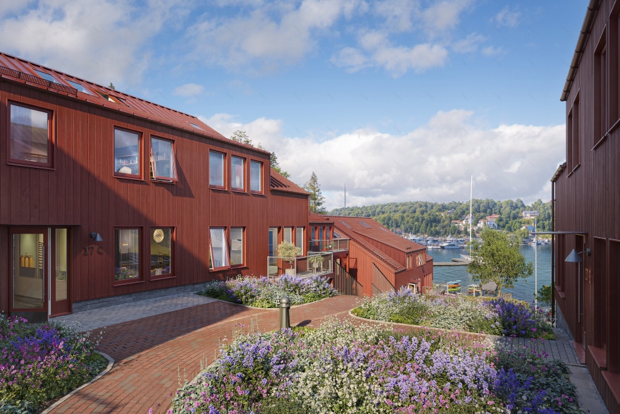 Lotsudden丨Cape VerdeSal-5