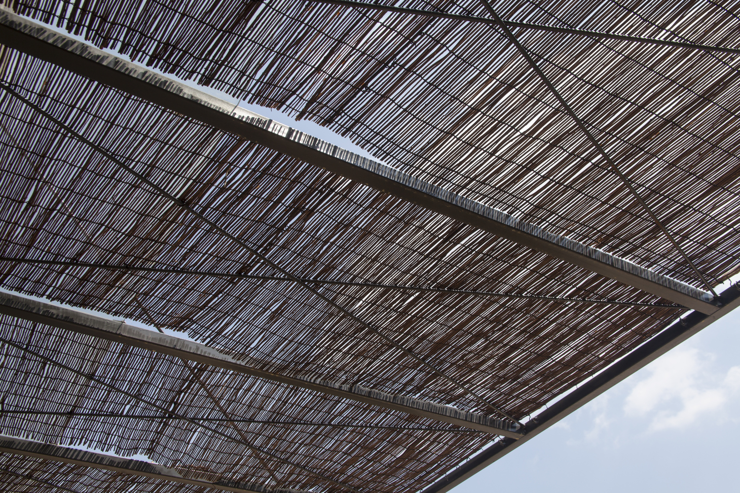 韩国蒲公英农场·自然疗愈空间-76