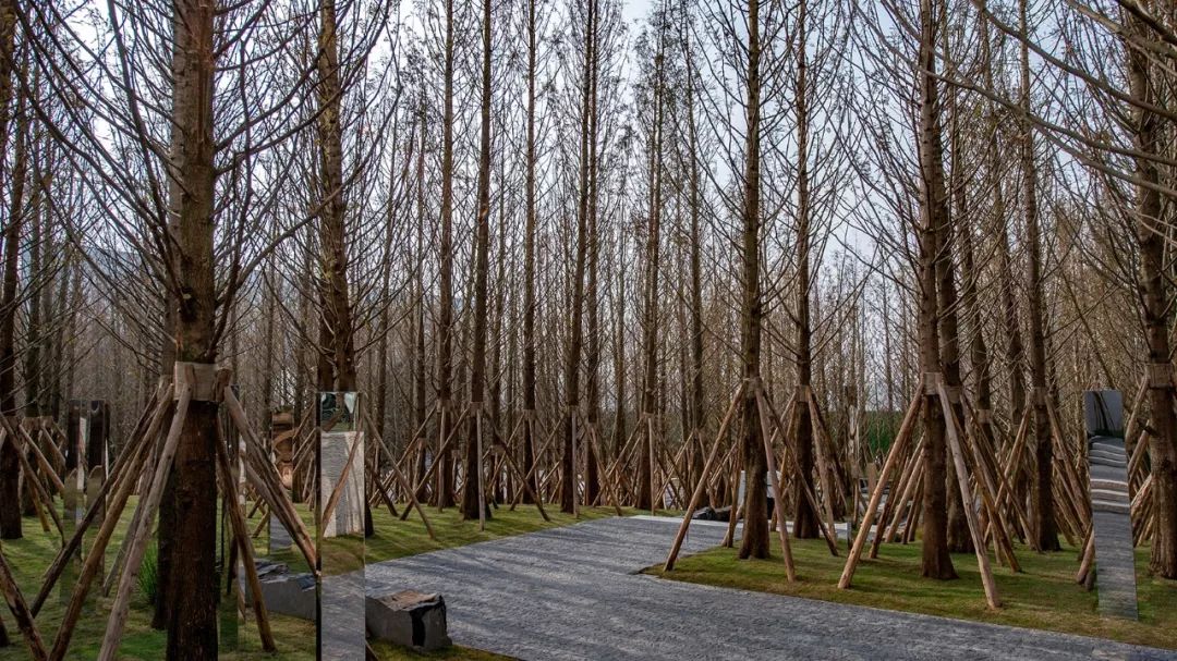 “重庆森林”  | 重庆万科森林公园-38