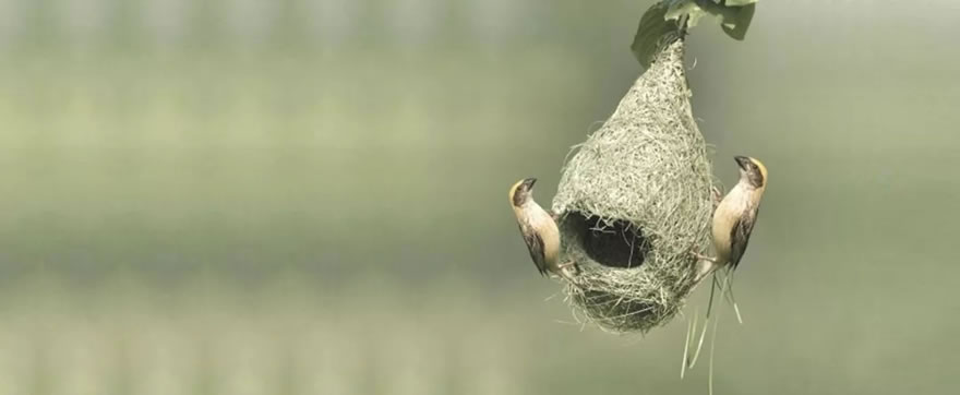 重庆万科彩云湖生活广场-157