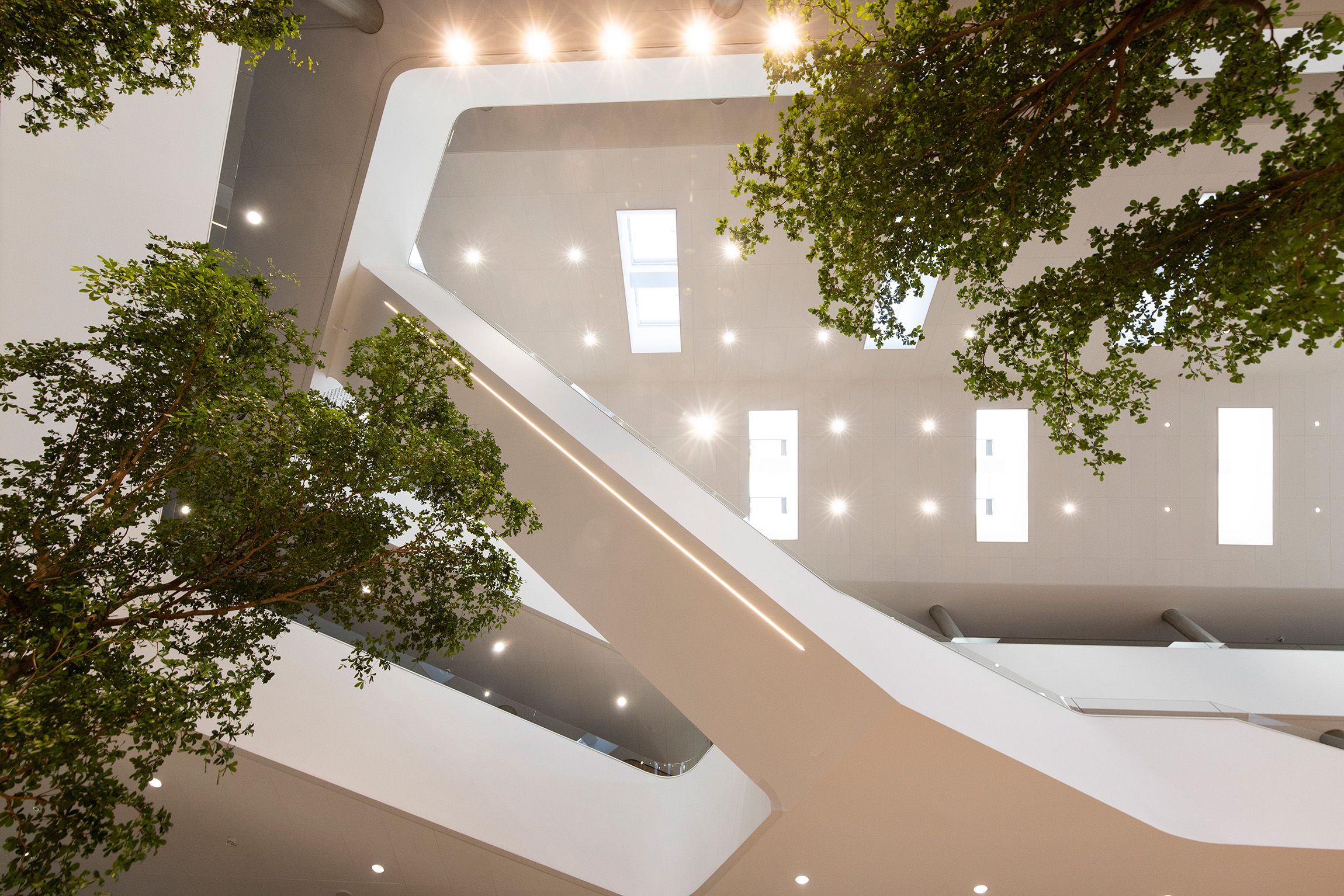 DLG新总部大楼设计丨丹麦丨PLH-18