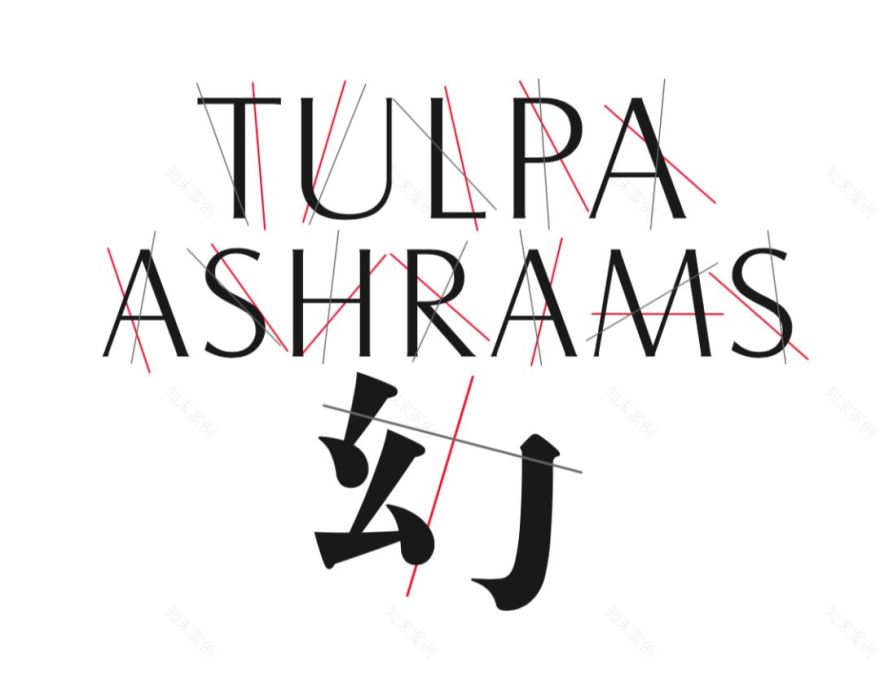 《幻·Tulpa Ashrams》 | 穿越乌托邦废墟的中国艺术之光-410