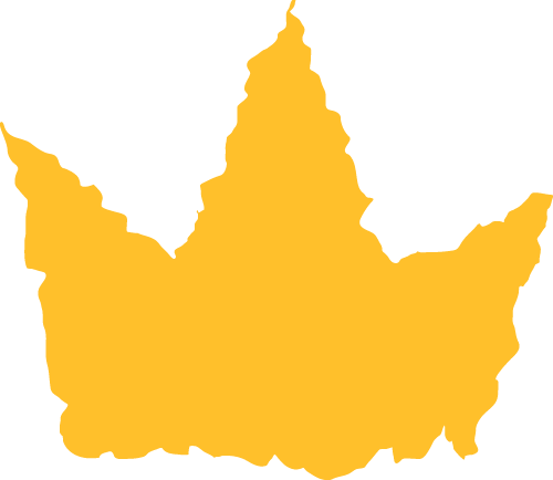 共写自然新故事｜番禺绿地参与式规划开放日暨自然体验活动报名啦-19