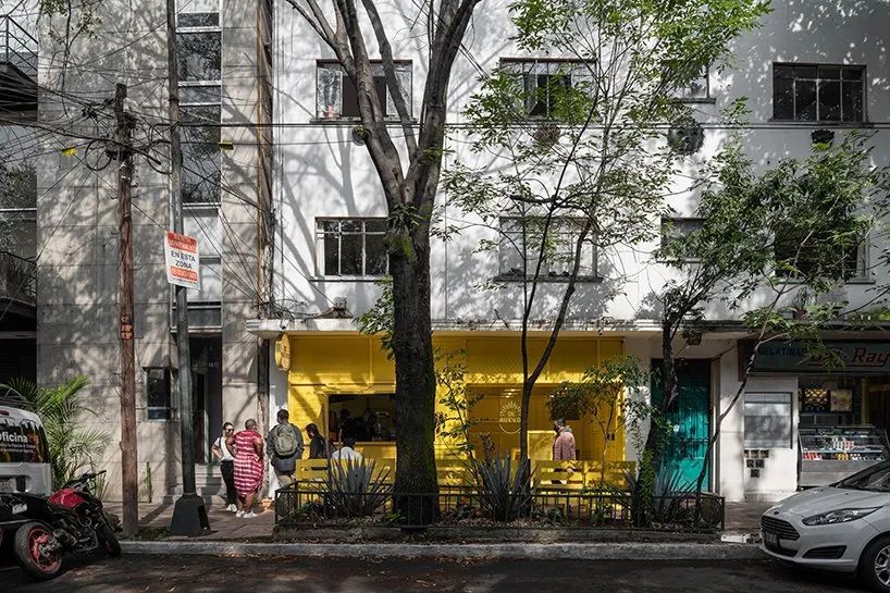 鸡蛋的或关于鸡蛋的-19