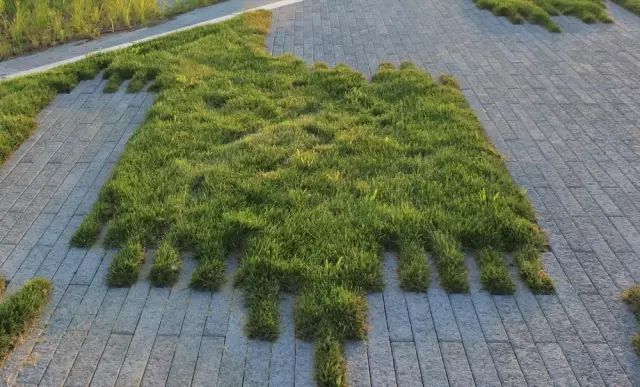创意铺装设计，草坪与硬质材料的美妙融合-97