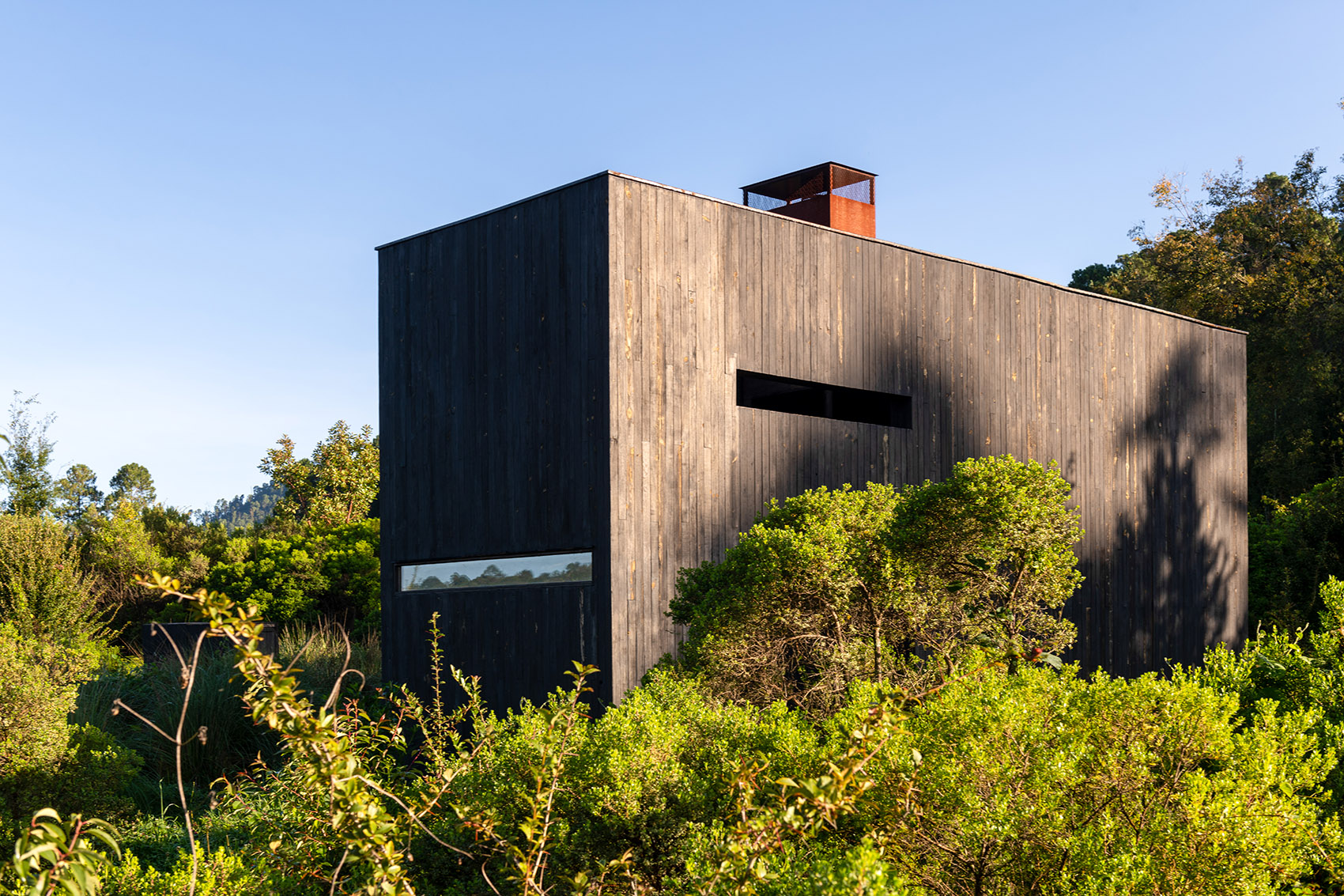 墨西哥雨水收集之家丨Robert Hutchison Architecture + JSa-143