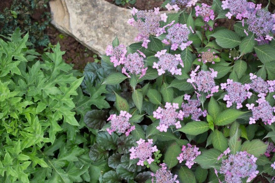 花痴的世界 · 川南小城住宅室内设计丨中国泸州丨境壹空间设计-51