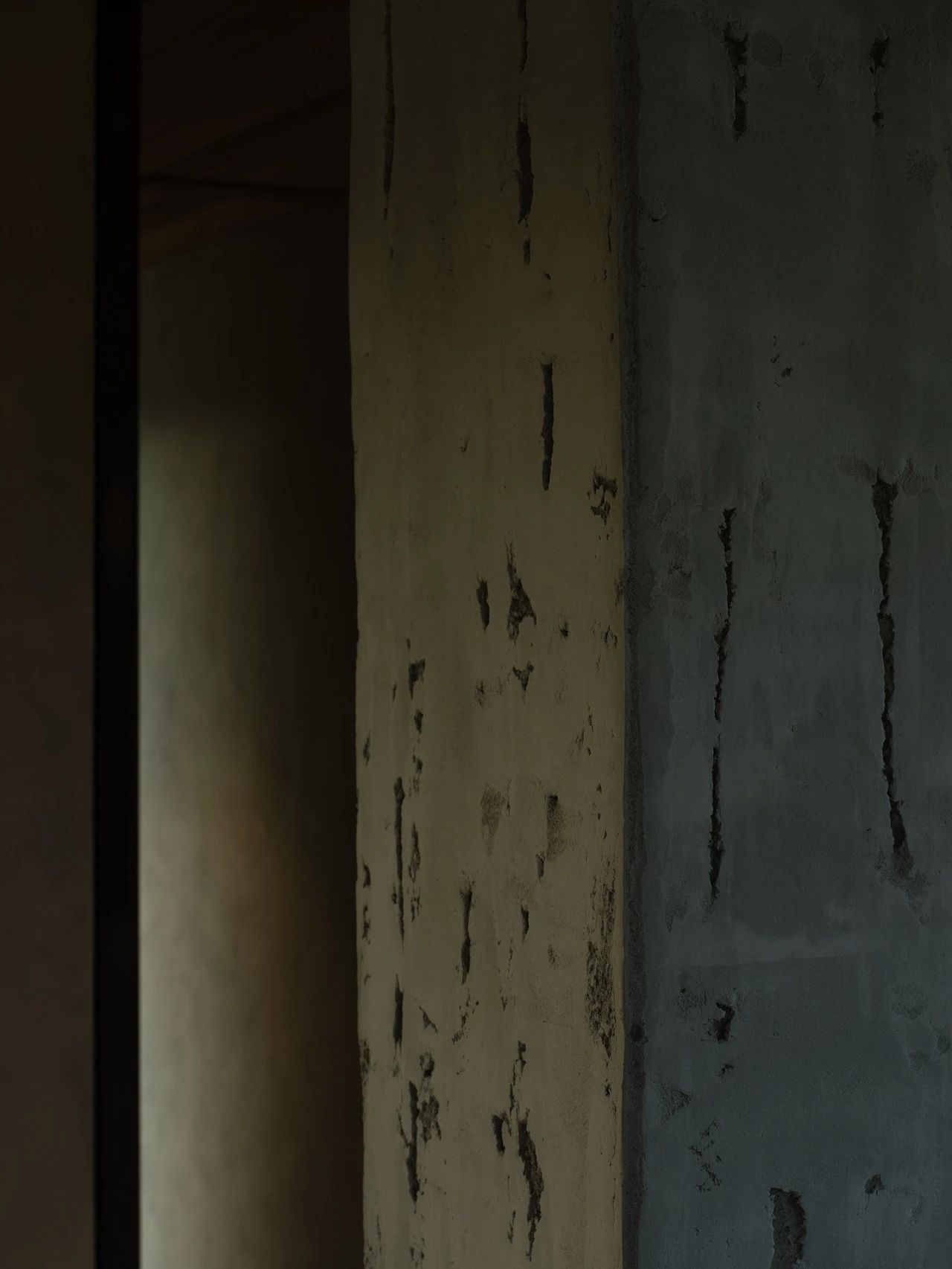 Matagouri 住宅丨新西兰丨Fearon Hay Architects-39