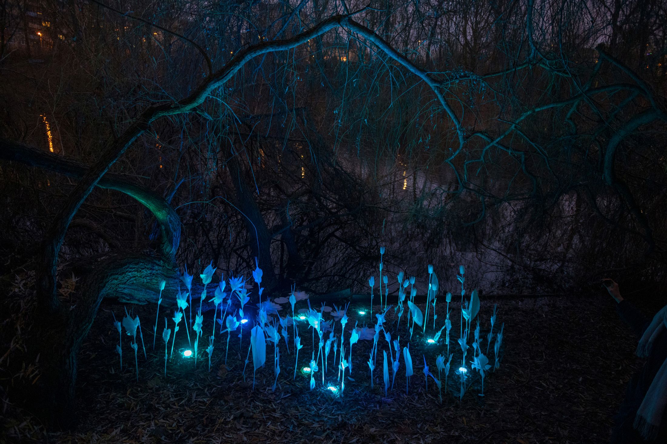 不可回收垃圾制成的植物装置-23