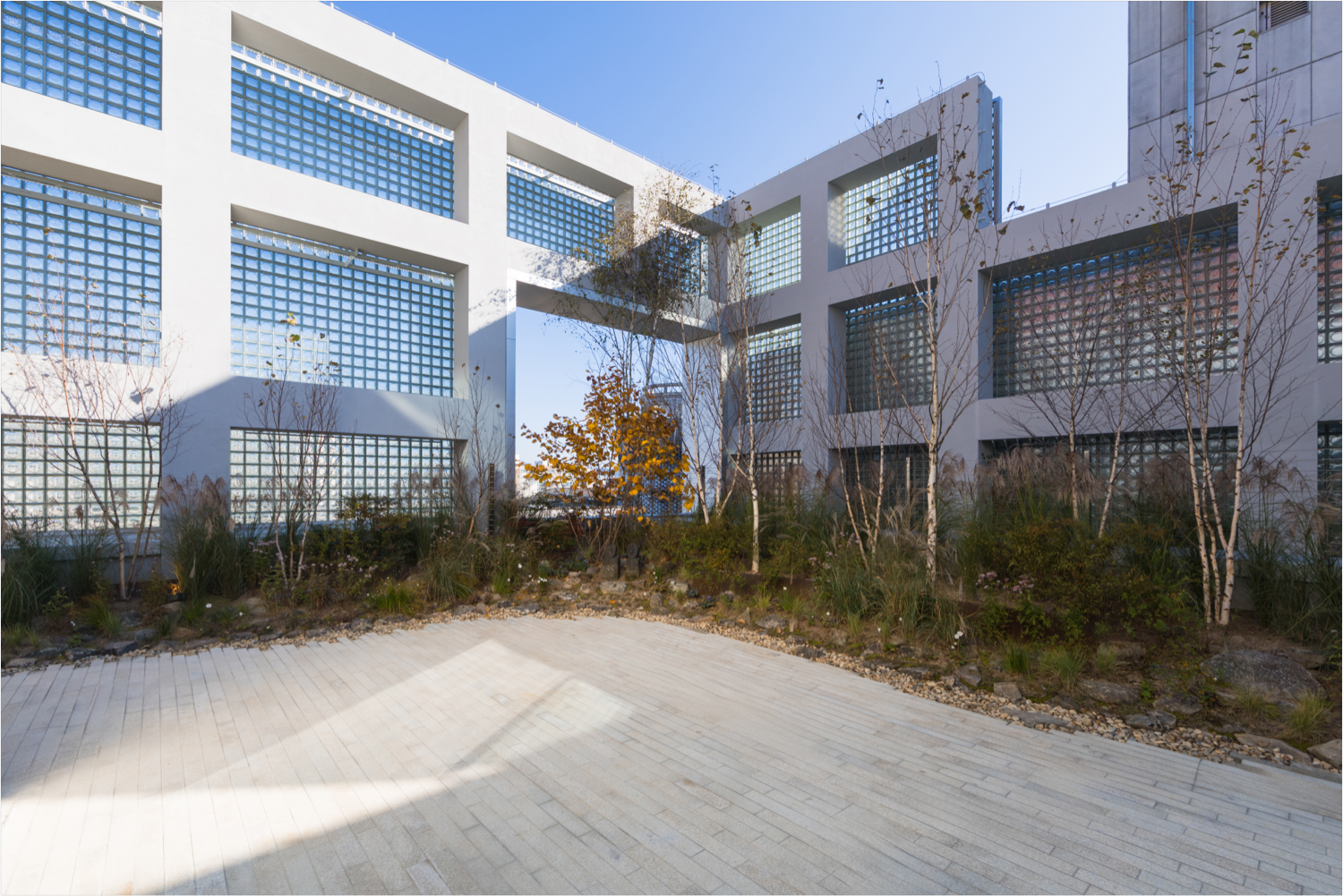 丨韩国首尔丨Caspar Mueller Kneer-14