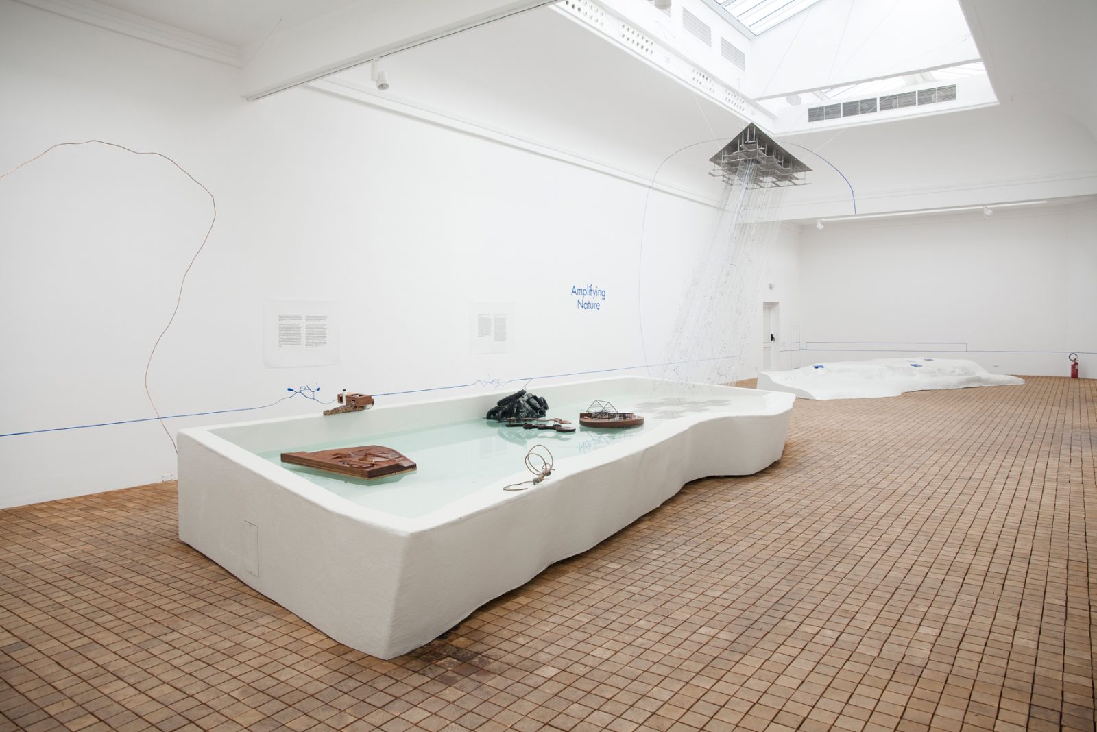 威尼斯波兰馆·CENTRALA“放大自然”展览丨法国尼斯-18