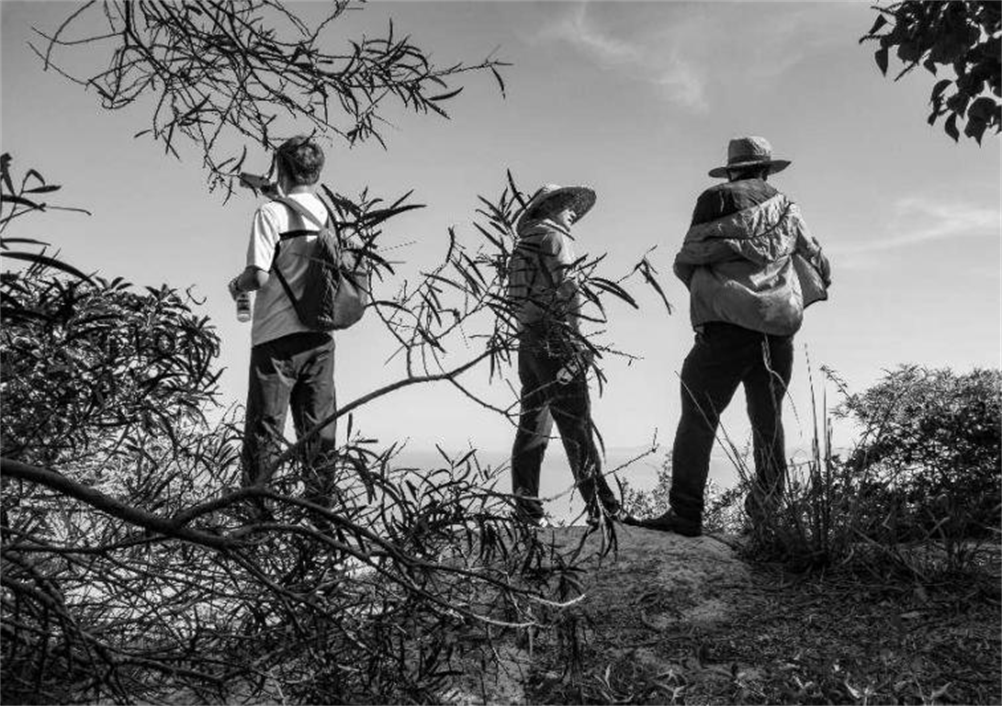三沙光影小镇休闲步道二期丨中国宁德丨上海川木景观设计有限公司-14