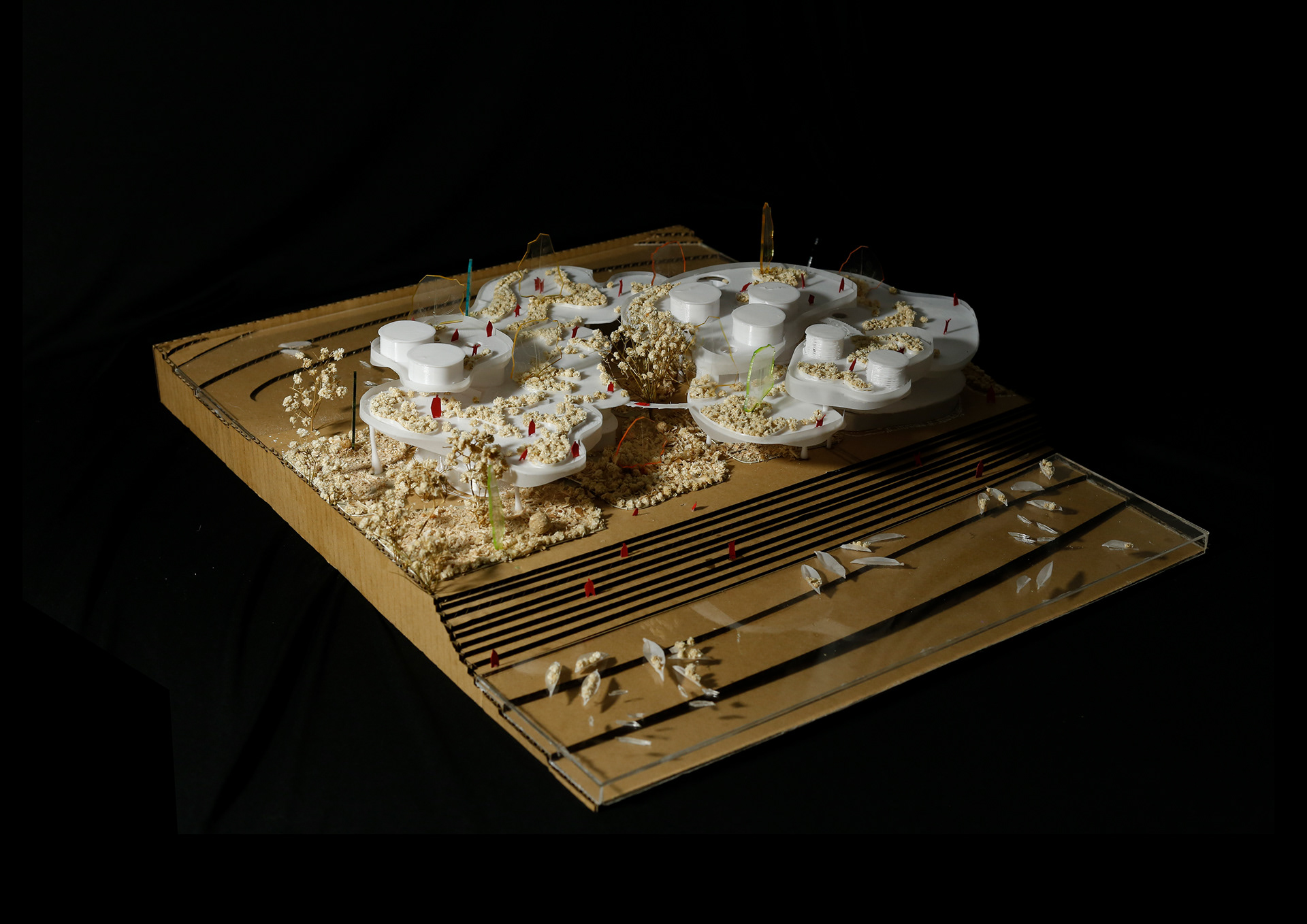 EXHIBITION CENTERS & PROMOTION OF AGRICULTURAL PRODUCTS-8