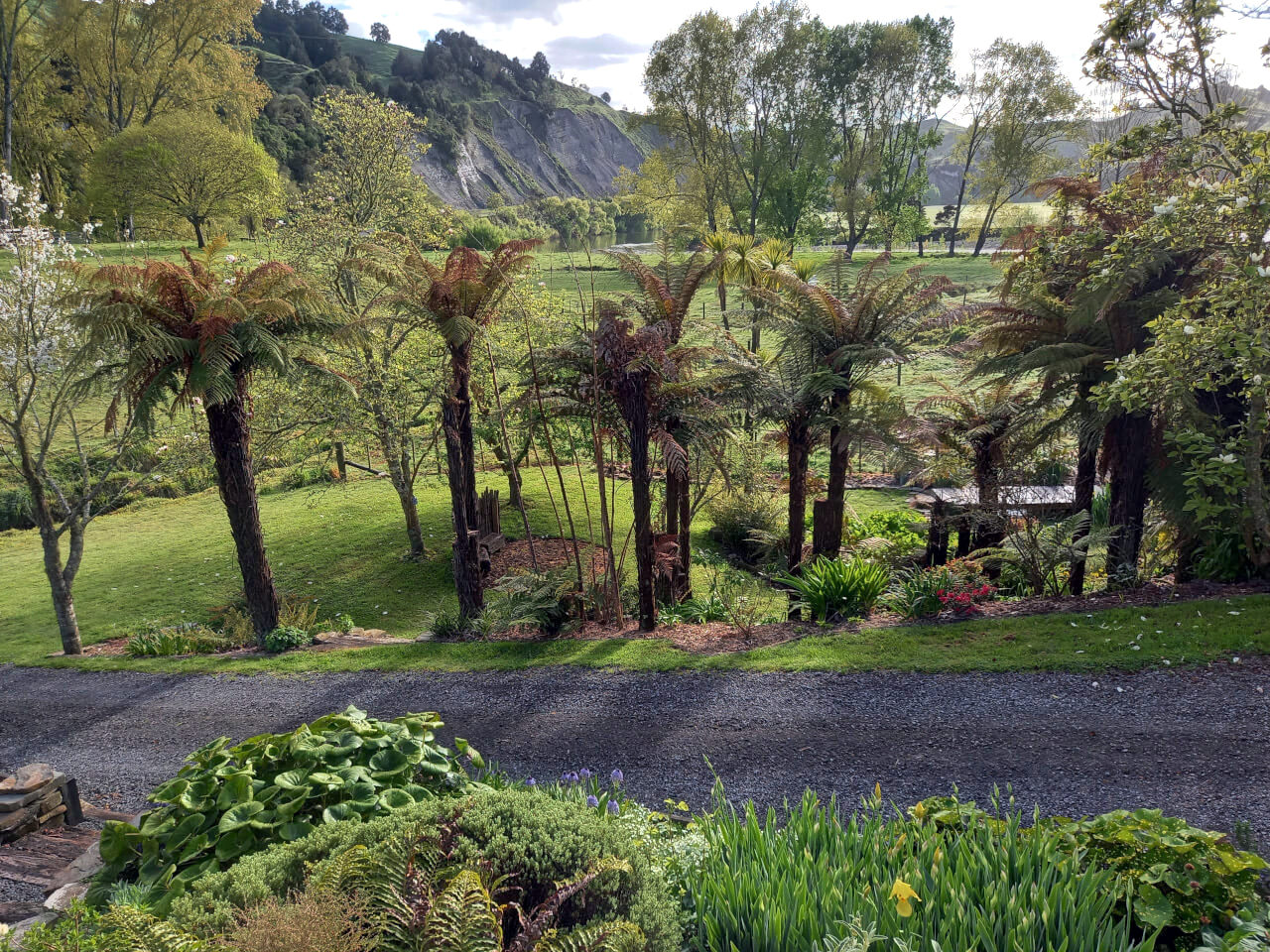 To Whenua花园丨新西兰丨Elle（园艺师,景观设计师和艺术家）-8