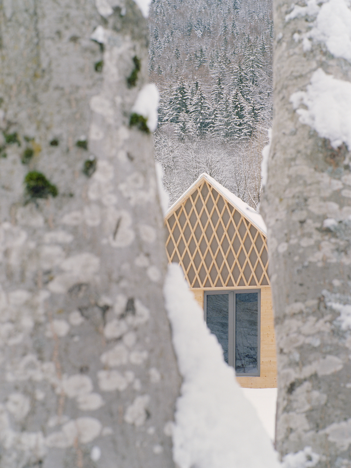 独特景观构建-9