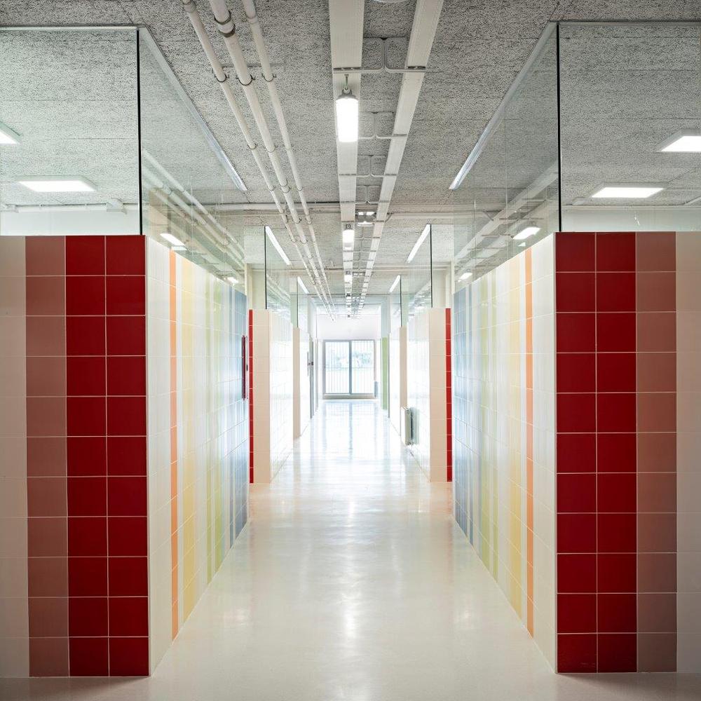 Indira Gandhi Public School · 融入地形的教育建筑-44