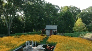 四月花海 | 迪拜奇迹花园的植栽设计-209