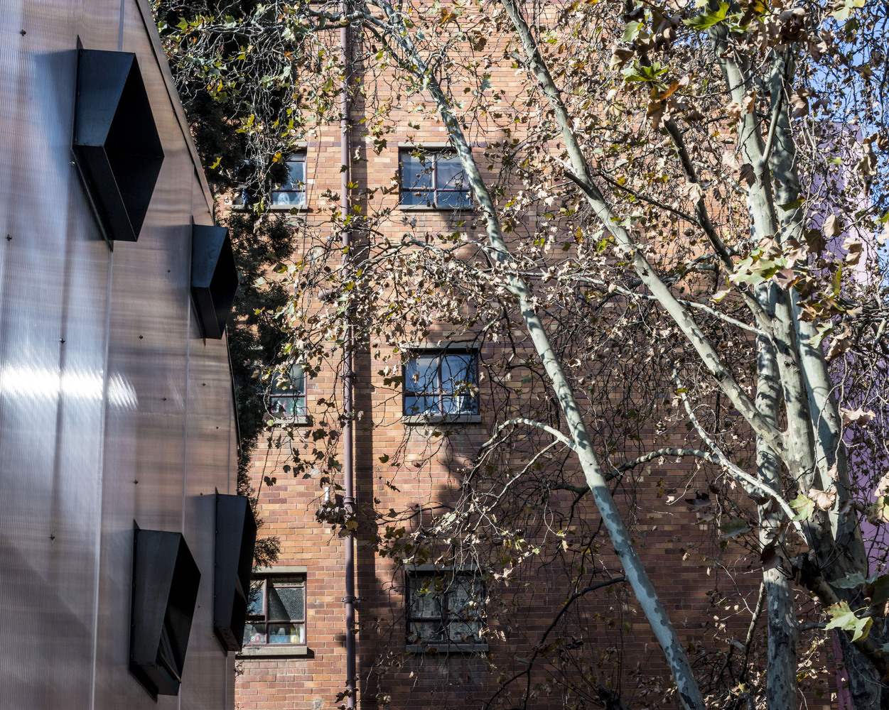 南非约翰内斯堡心灵疗愈中心-17