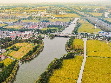 全国“土地日”|我院助力海曙区横街-古林片区入选自然资源部第三批全域土地综合整治典型案例-33