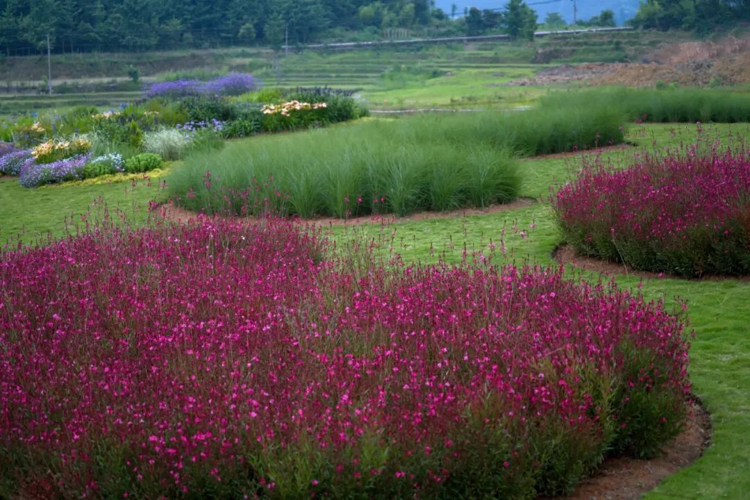 峨眉·高桥小镇丨中国眉山丨四川乐道景观设计有限公司-92