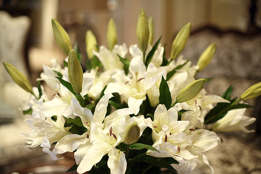 法式简约家装别墅样板房-3-7