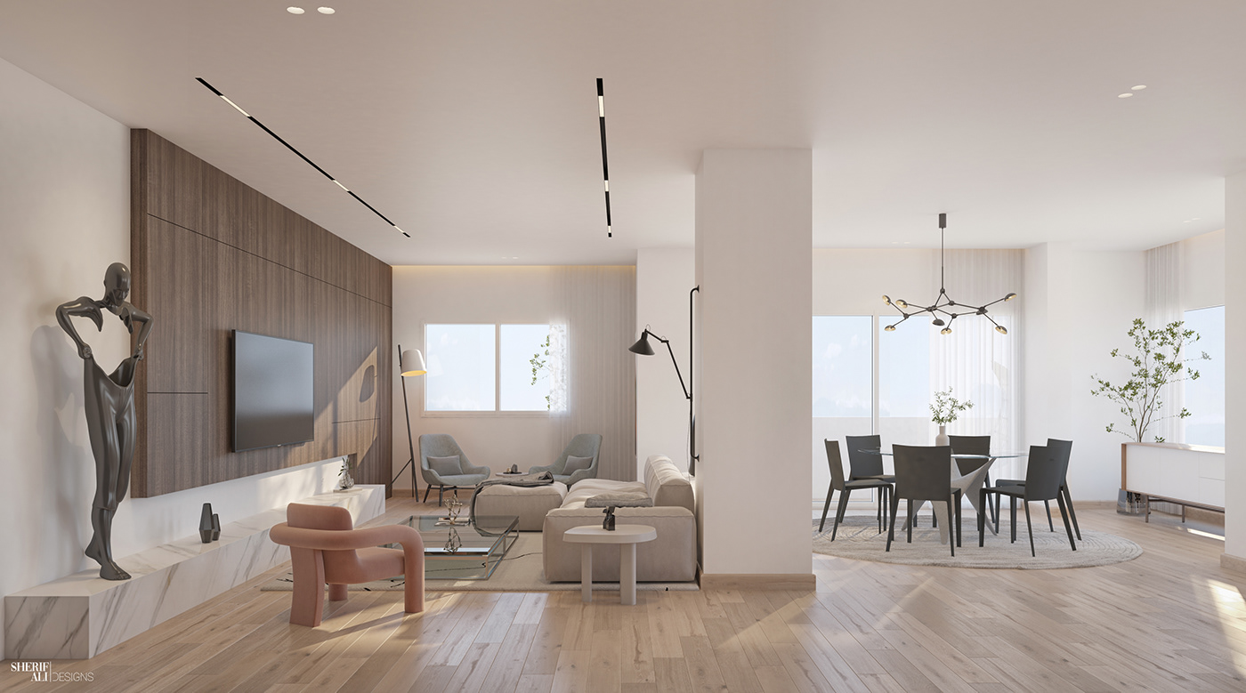 2021 年埃及 Portsaid 极简别墅设计-4