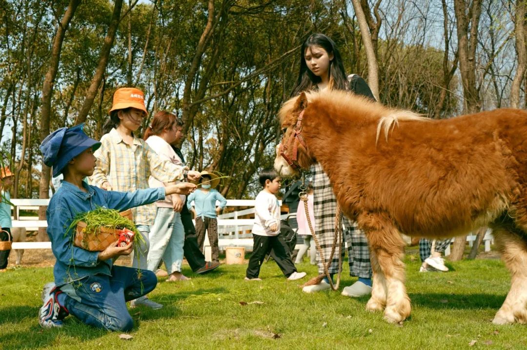 现在就出发！拥抱自由，奔赴理想的度假生活-103