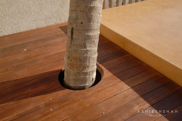 duplex01 Ashiesh Shah-1