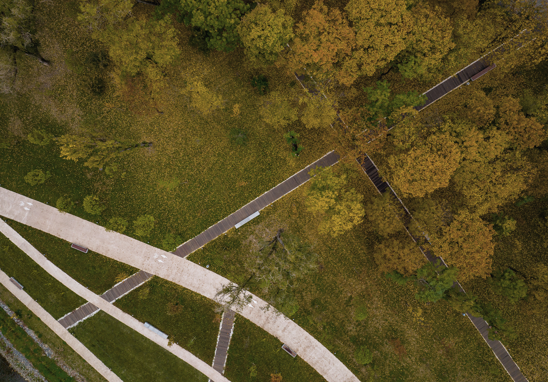 Somes河上的新绿色基础设施丨Práctica Arquitectura等多专业团队-23