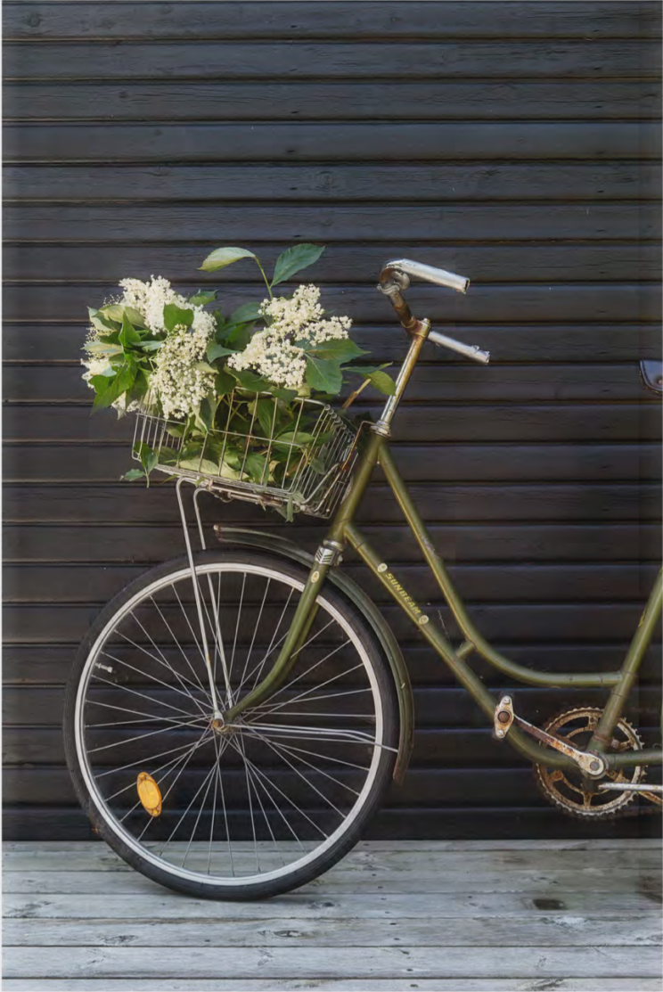 丹麦海滩附近经典凉亭的改造  RUM4-19