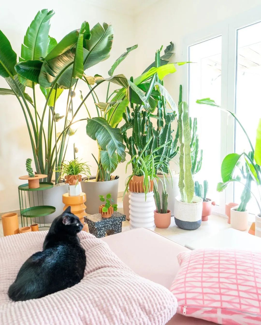 马卡龙色系的家丨法国丨Judith-89