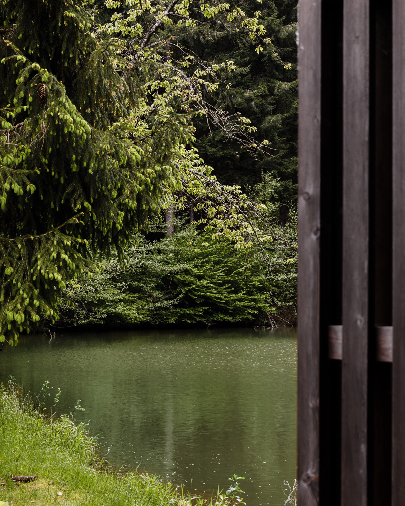 Étang渔民度假小屋丨法国丨NEUME-42